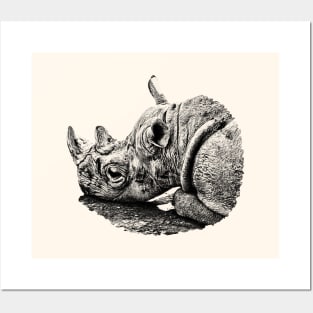 Rhinoceros Posters and Art